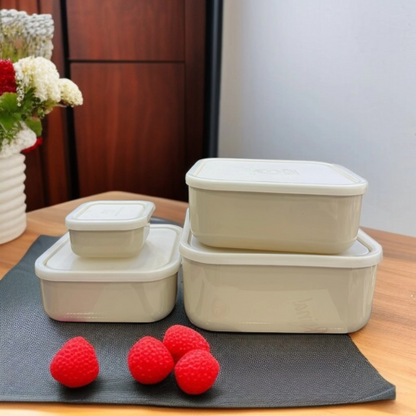 Airtight 4 Pcs Bowl Set ( random color)